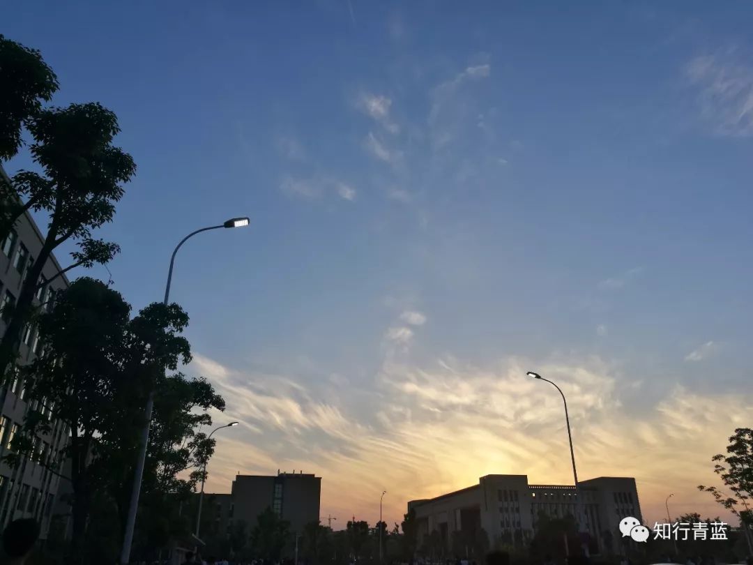 壮丽开启！体育赛事将俘获你的心